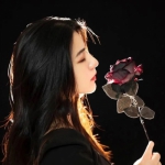 召唤与合成2手游下载